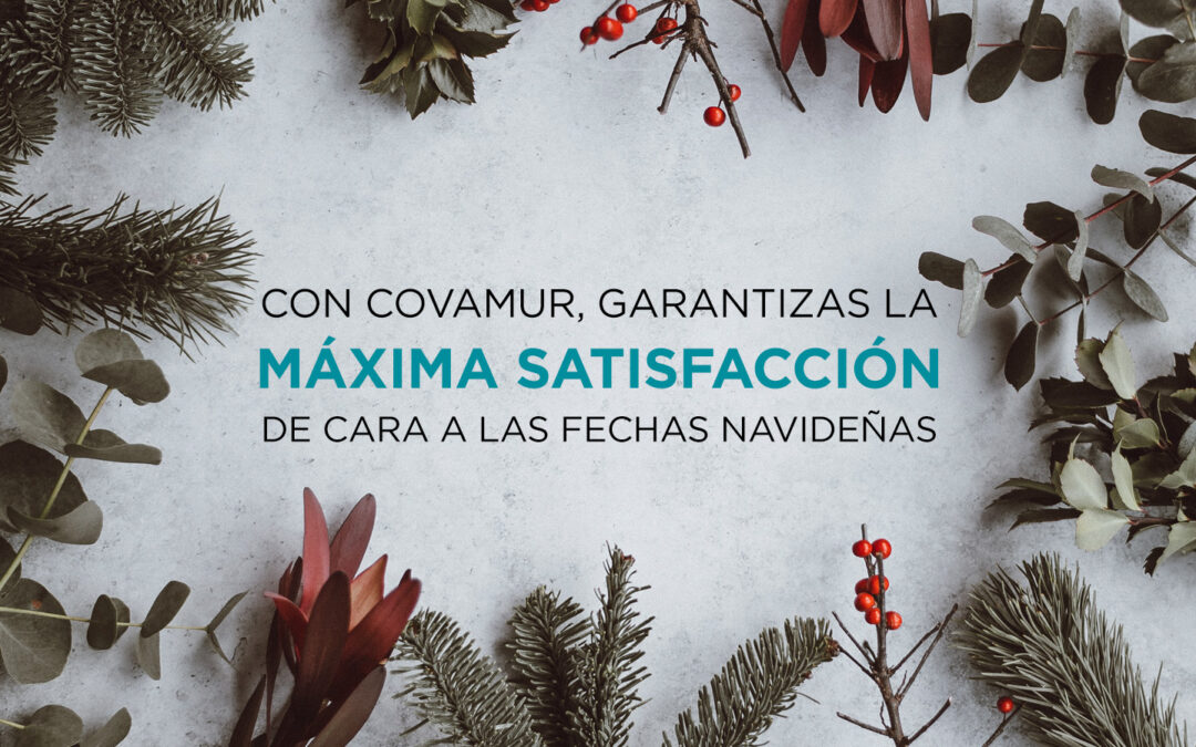 Limpieza responsable y servicios complementarios para garantizar la máxima satisfacción de cara a las fechas navideñas